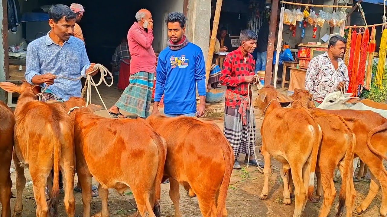 @আজ ৯ ফেব্রুয়ারী