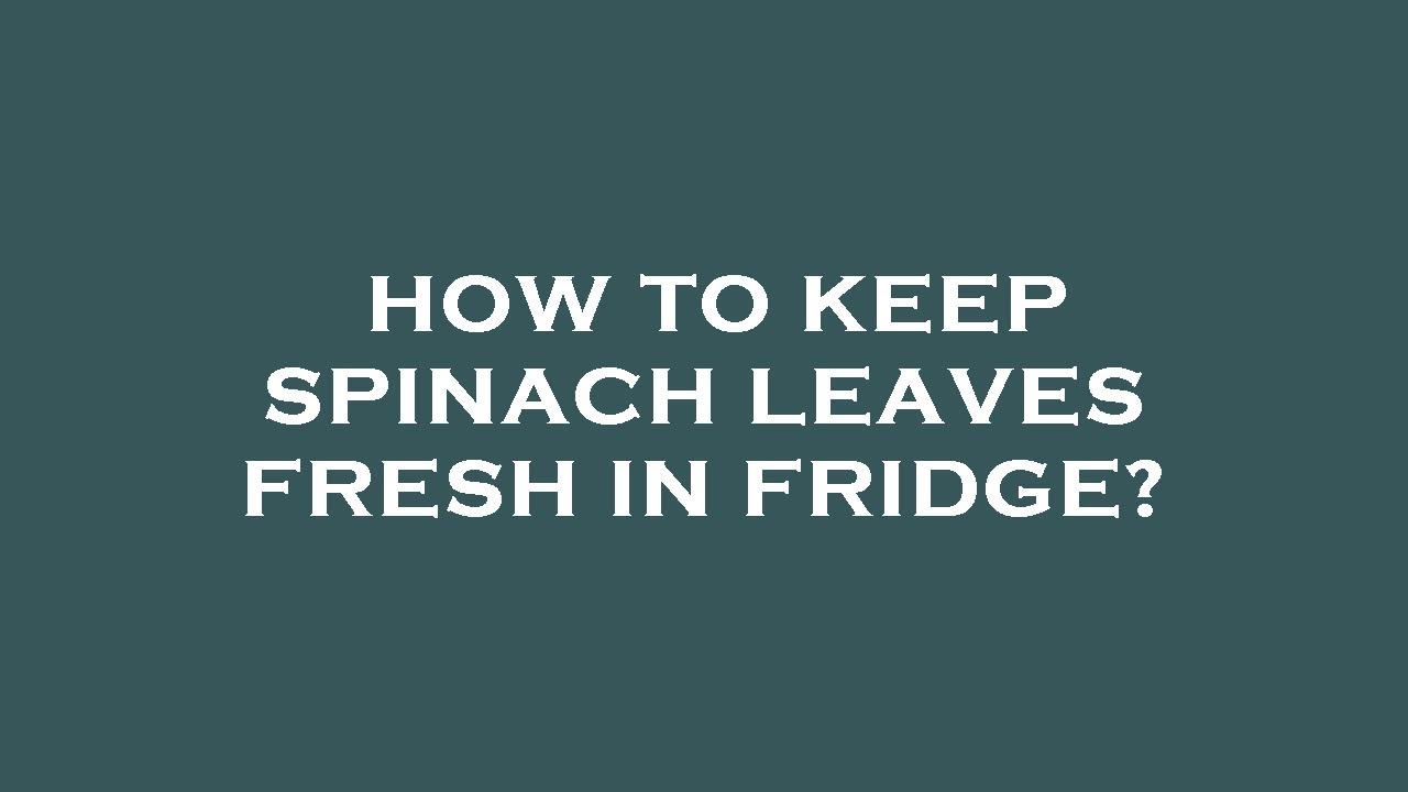 How to keep spinach leaves fresh in fridge?