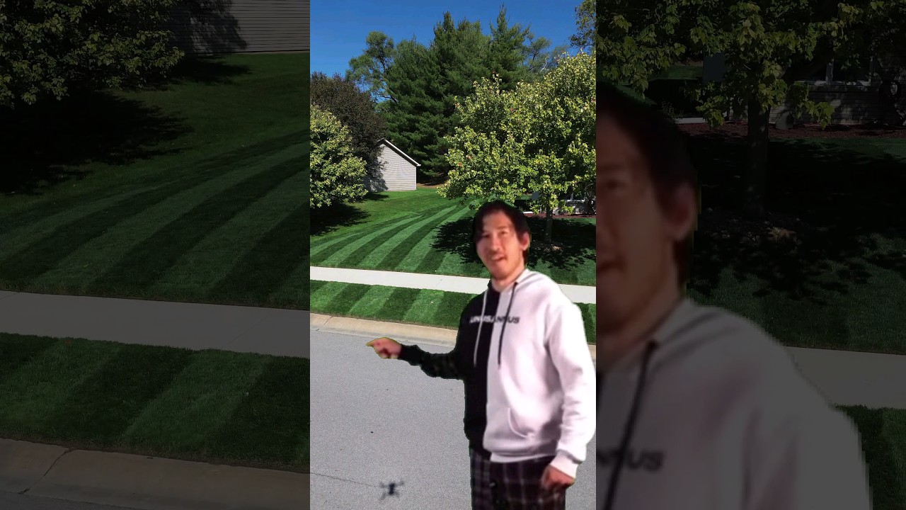 Nothing Beats DARK GREEN Lawn Stripes 
