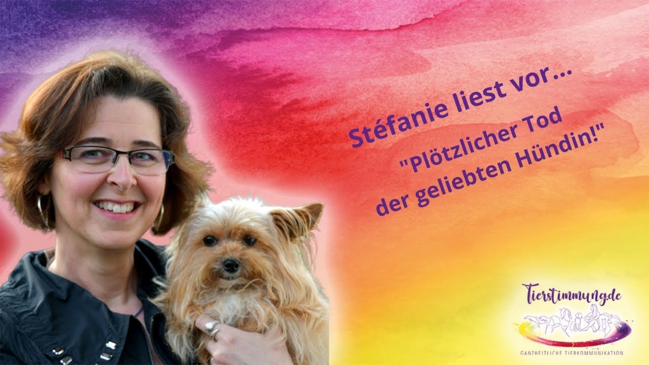 Tierkommunikation – Plötzlicher Tod der geliebten Hündin 💔