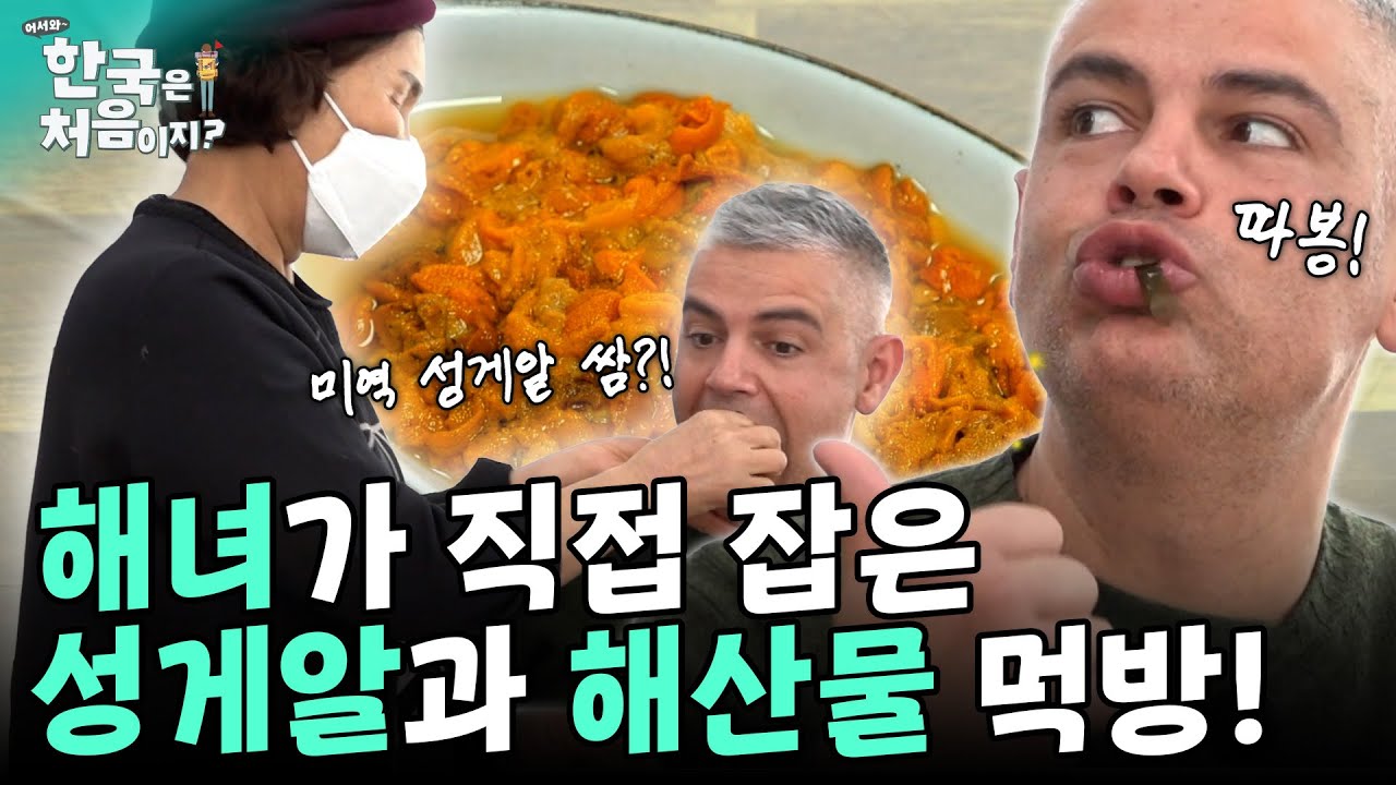 이탈리아 셰프들이 홀~딱 반한 해산물! 해녀가 직접 운영하는 포항 로컬 식당에서 먹는 성게알과 해산물 먹방! | #어서와한국은처음이지 EP.280 외