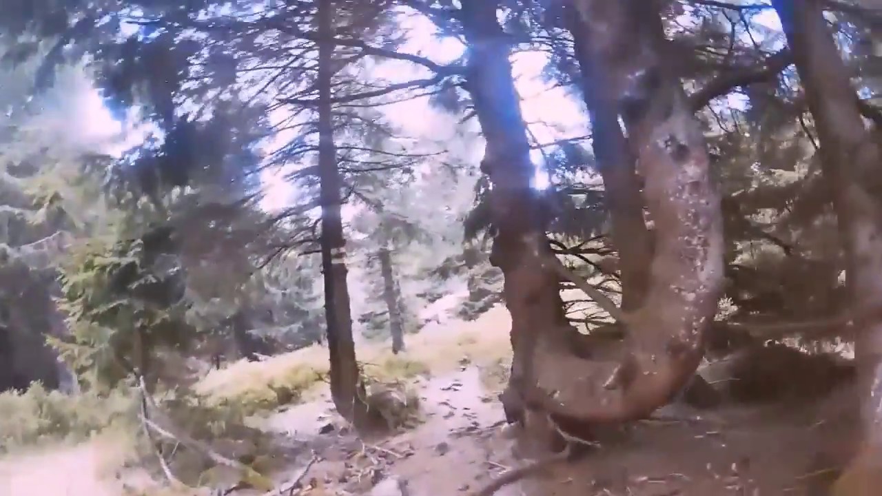 gr5 traversee du massif des Vosges Ribeauville  Mittlach