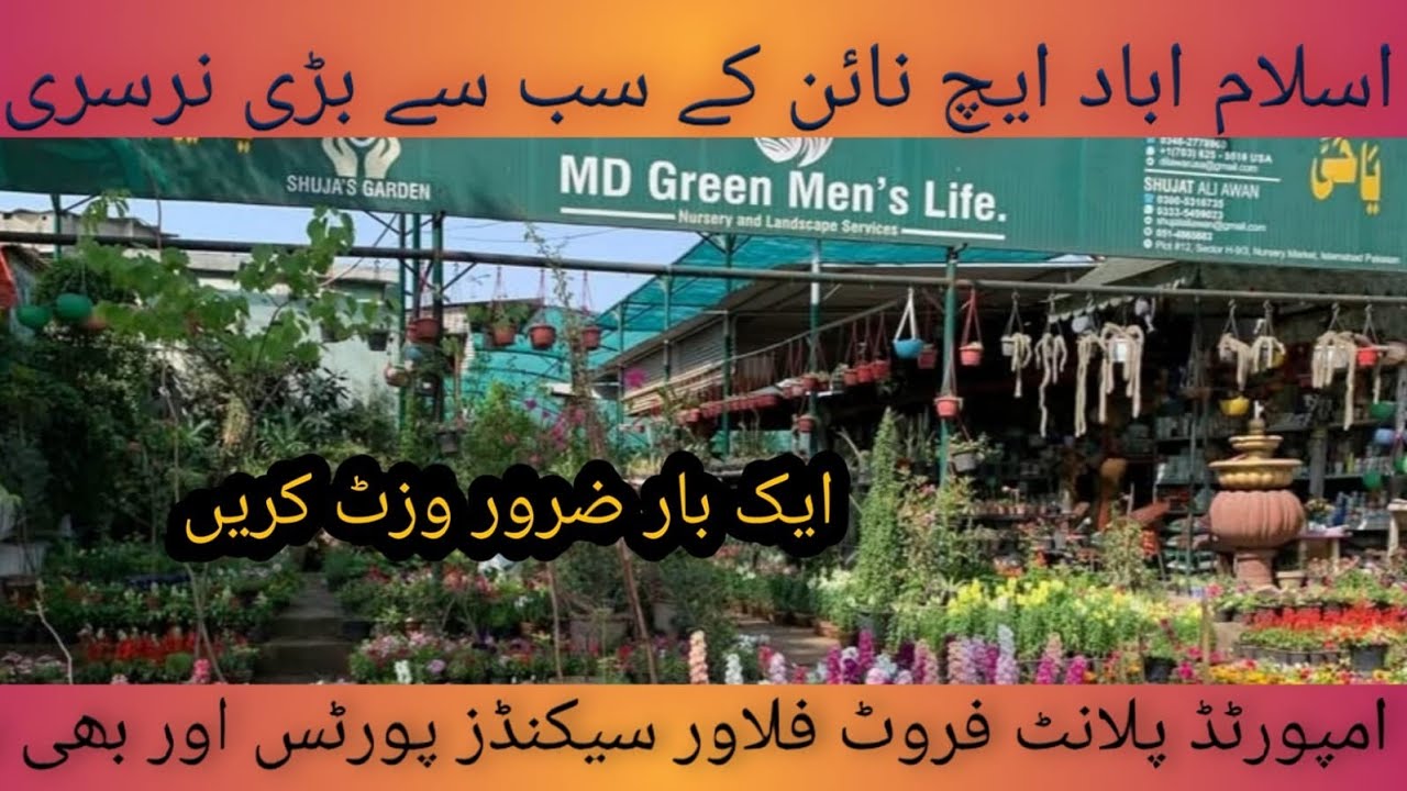 Nursery visit Islamabad [H/9 may imported plants/flower /fruits indoor outdoor..sirf kuch kadam pay.