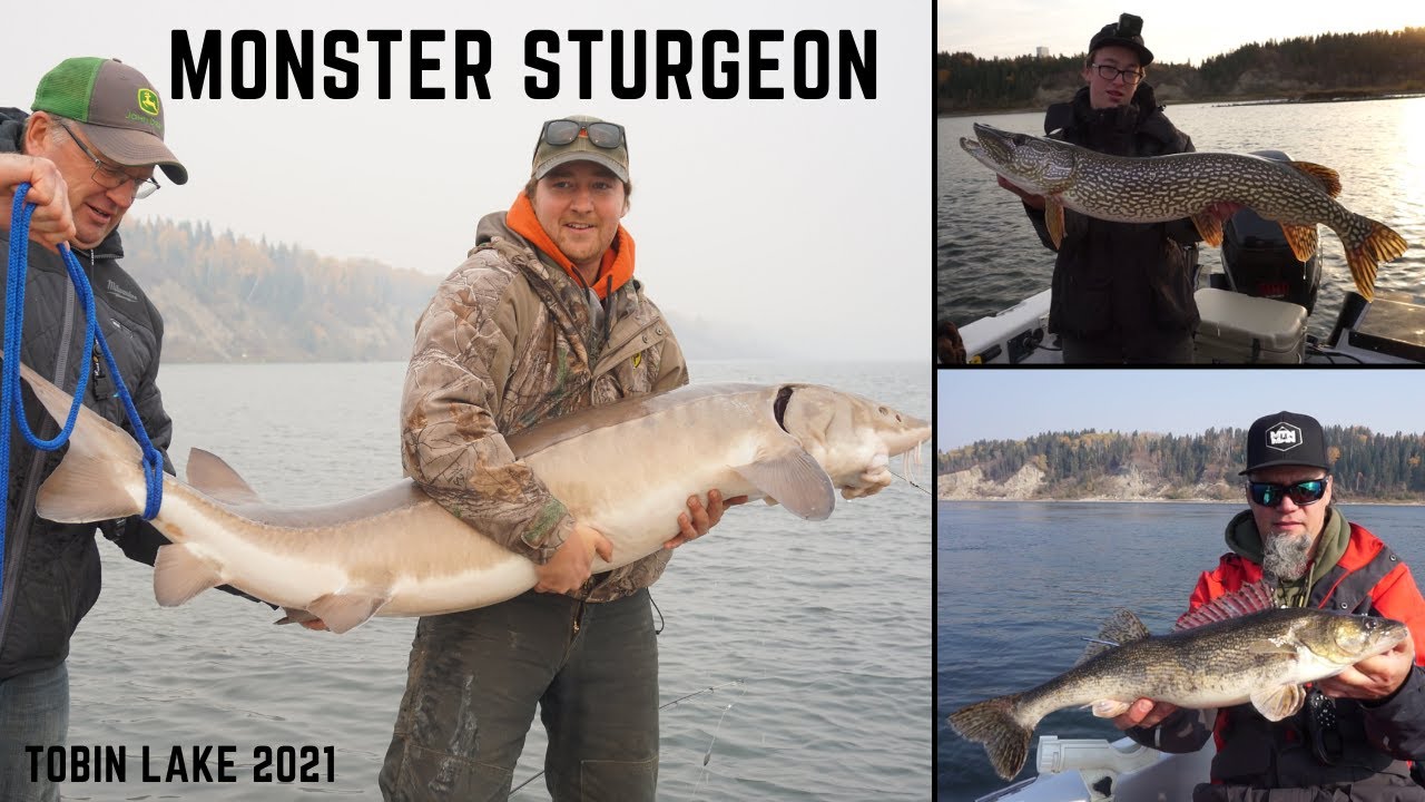 PIKE and WALLEYE Fishing at Tobin Lake | Bonus Monster Sturgeon | Northern Fishing | MONSTER ANGLING
