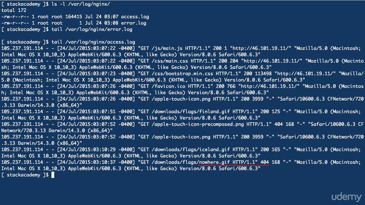 #11 Логгирование Nginx
