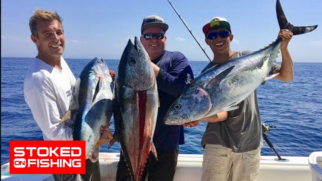 Bluefin Tuna Okuma Style