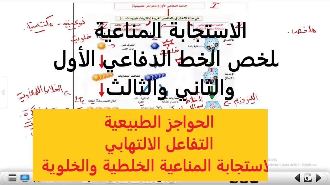 ملخص الاستجابة المناعية :الخط الدفاعي الأول والثاني والثالث علوم طبيعية السنة الرابعة متوسط