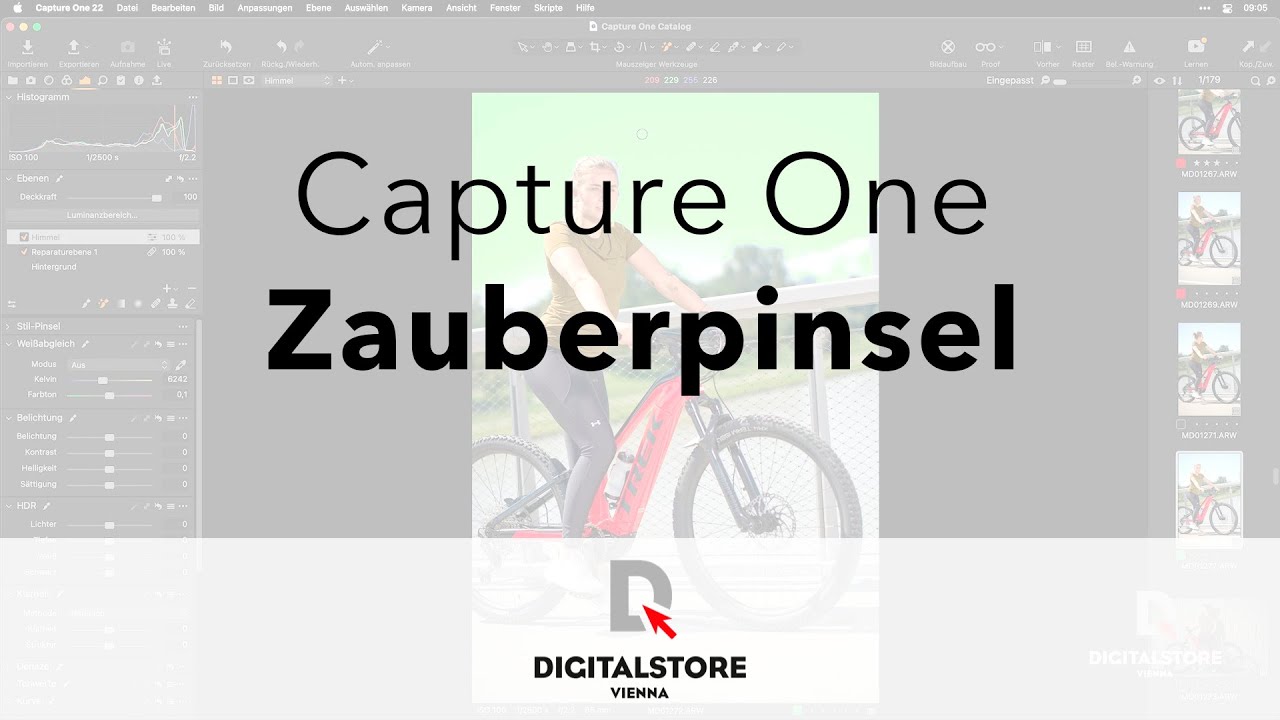 Capture One: Was ist der Zauberpinsel?