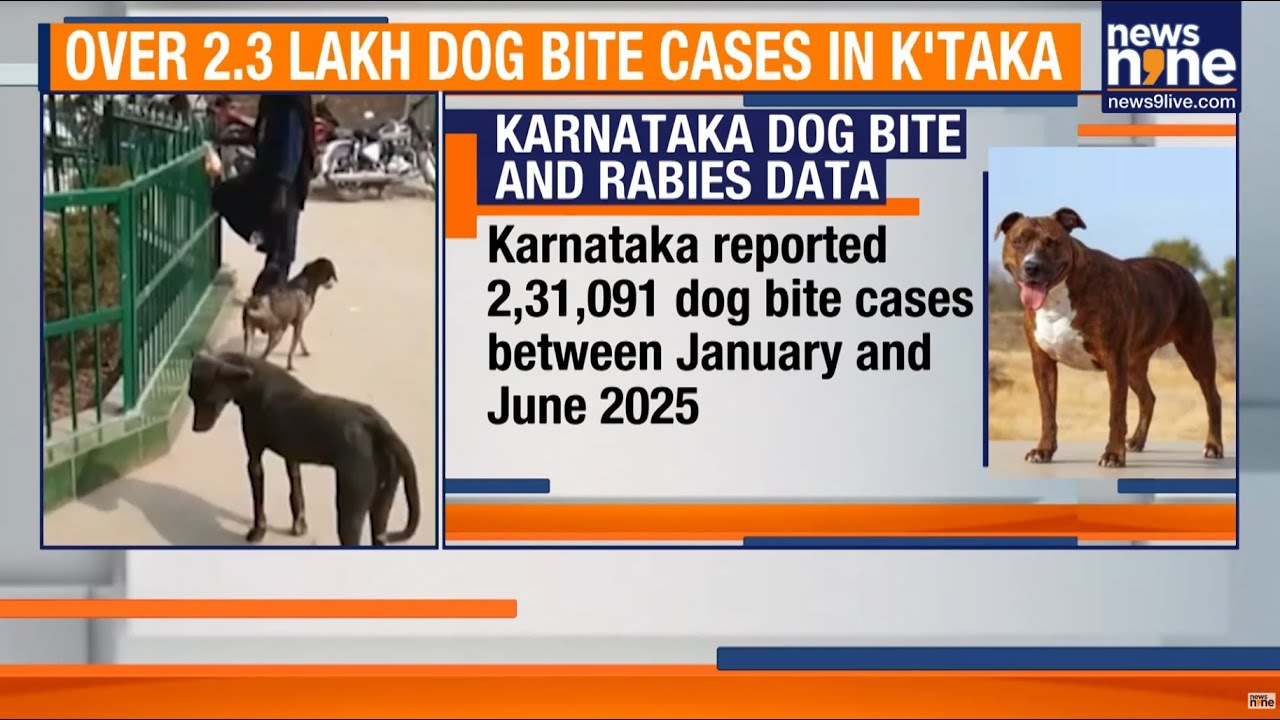 Dog Bite Surge in Karnataka: 2.3 Lakh Cases, 19 Rabies Deaths in 6 Months | News9
