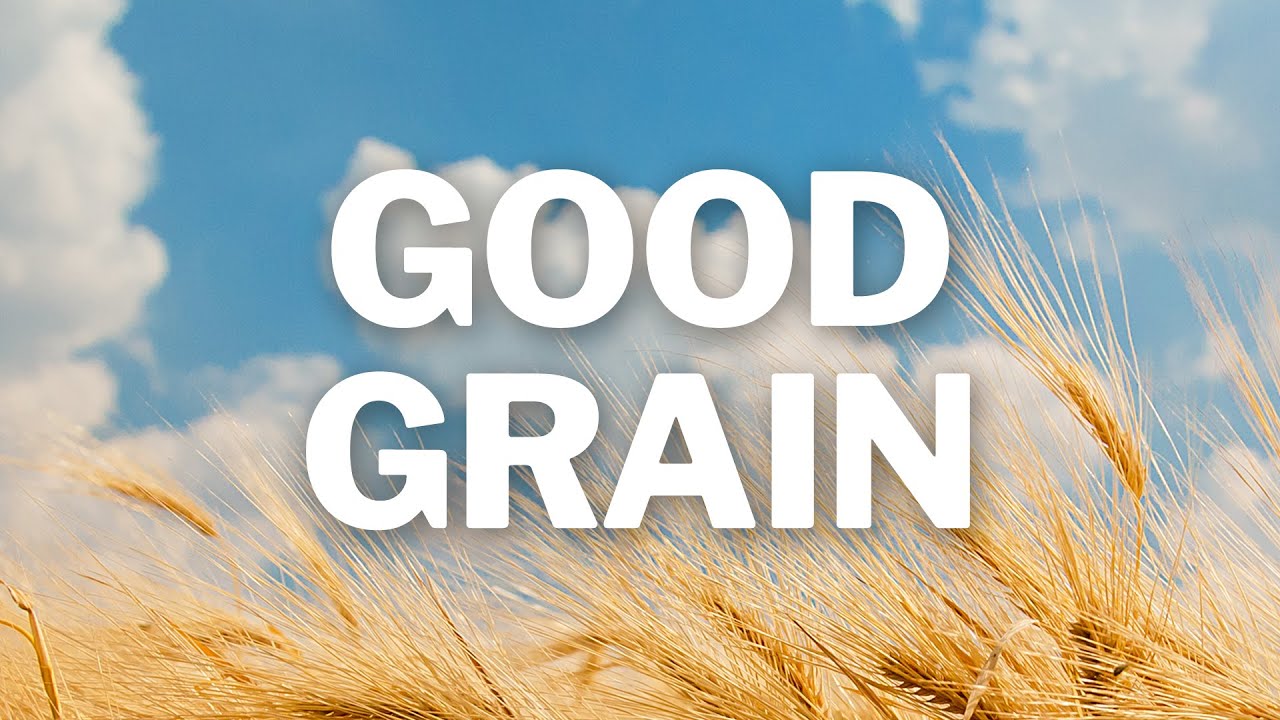 GOOD GRAIN official trailer