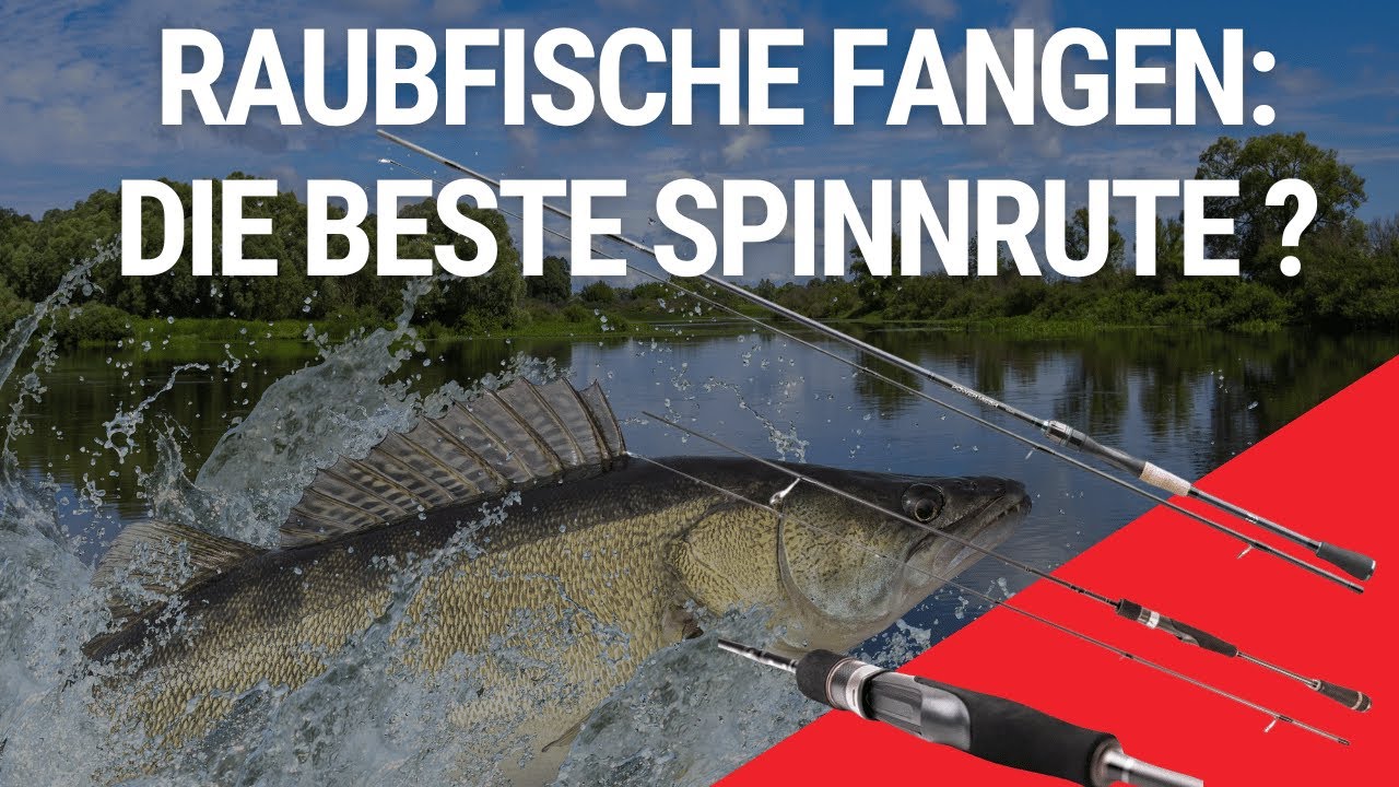 Raubfische fangen: Die Top 3 Spinnruten im Vergleich zum erfolgreichen Spinnfischen