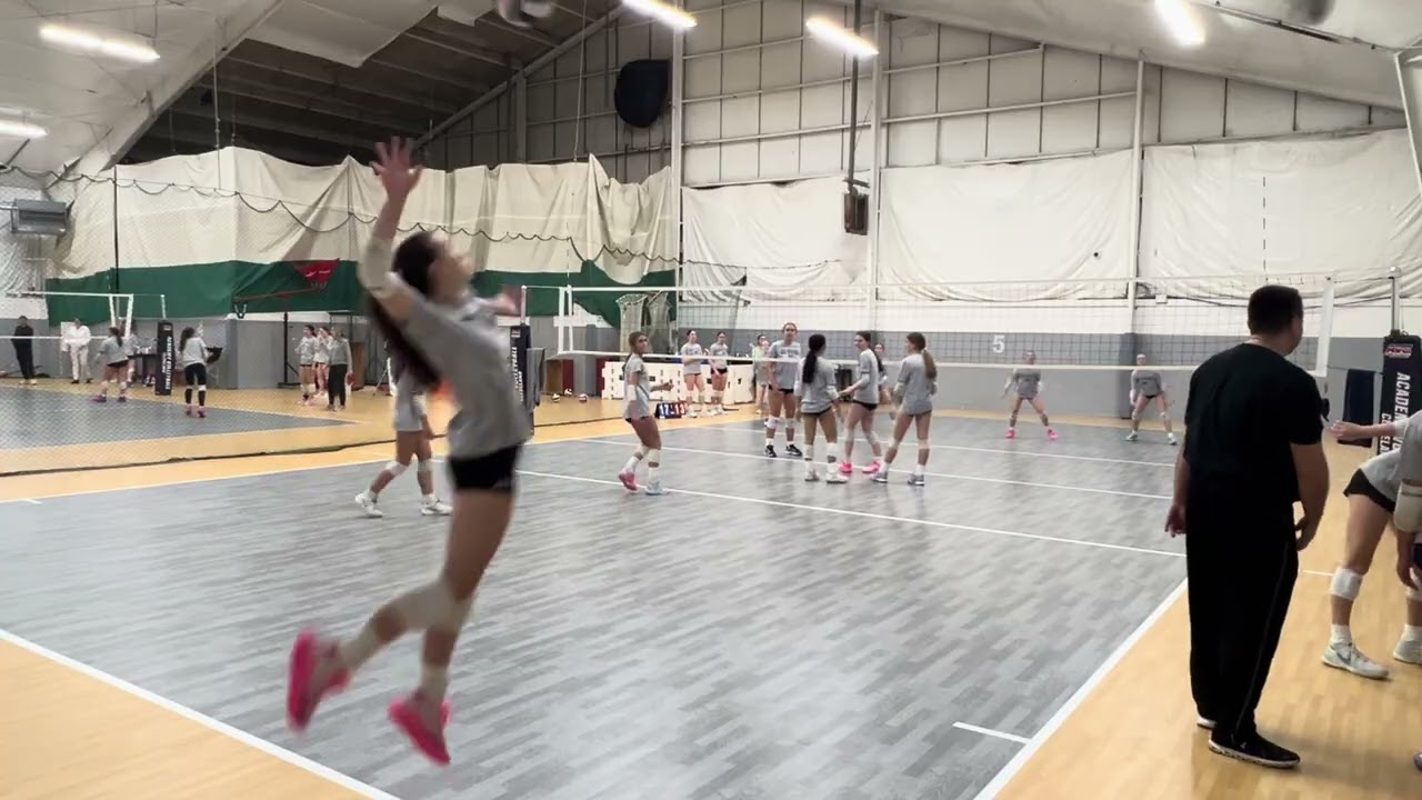 AVC 15 blue vs 16 gold 2/19