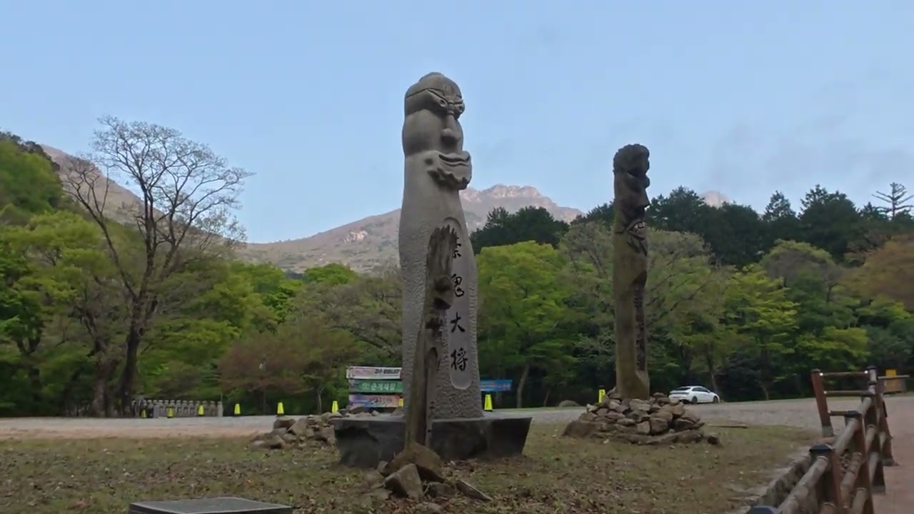 no 21 애기단풍과동백꽃 그리고 노송이 어우러진 해남대흥사를 45년만에 다시 가보다  ㅎ