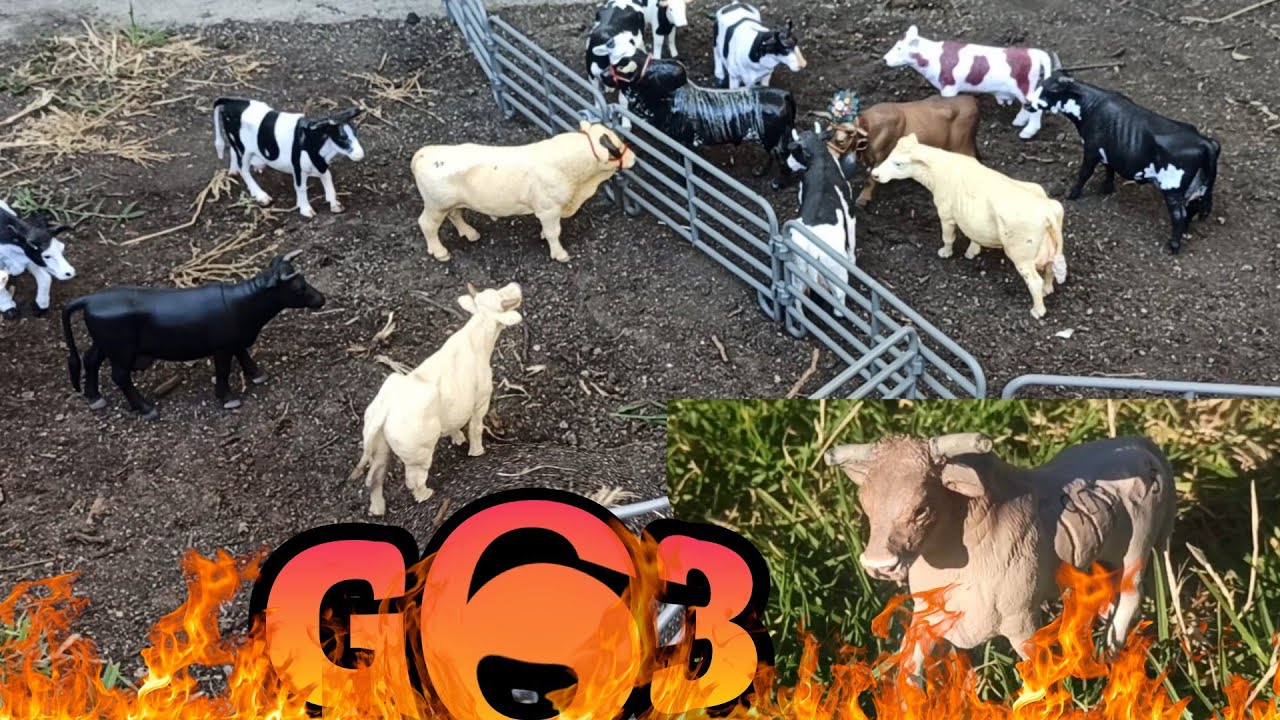 G63 En miniatura y dos toros de rancho nuevo se van de vacaciones 🐂bull🐄cow. jaripeo de juguete.