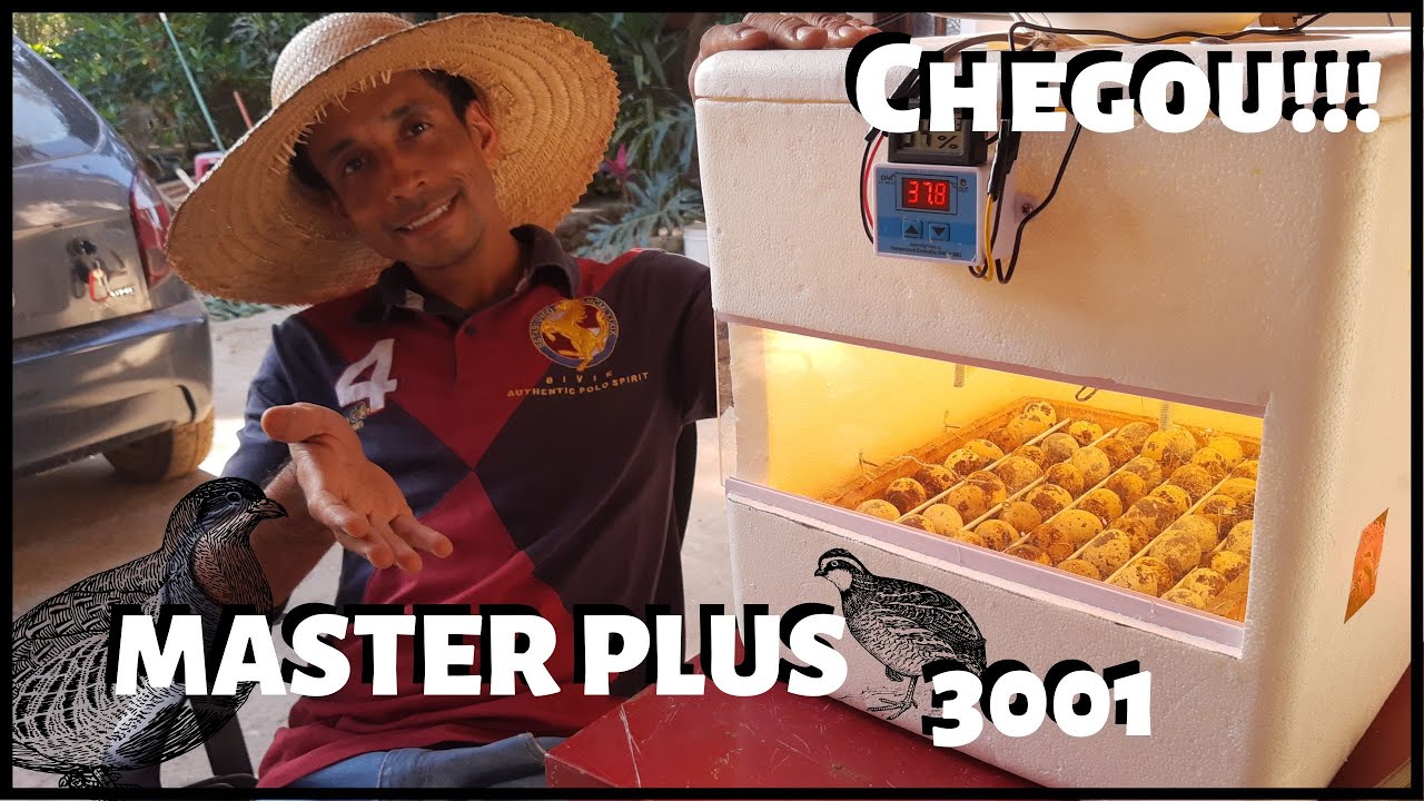 Chocadeira de Isopor- Começe Produzir Seus PINTINHOS AGORA #sustentabilidade @TILAPIAMinhaVida
