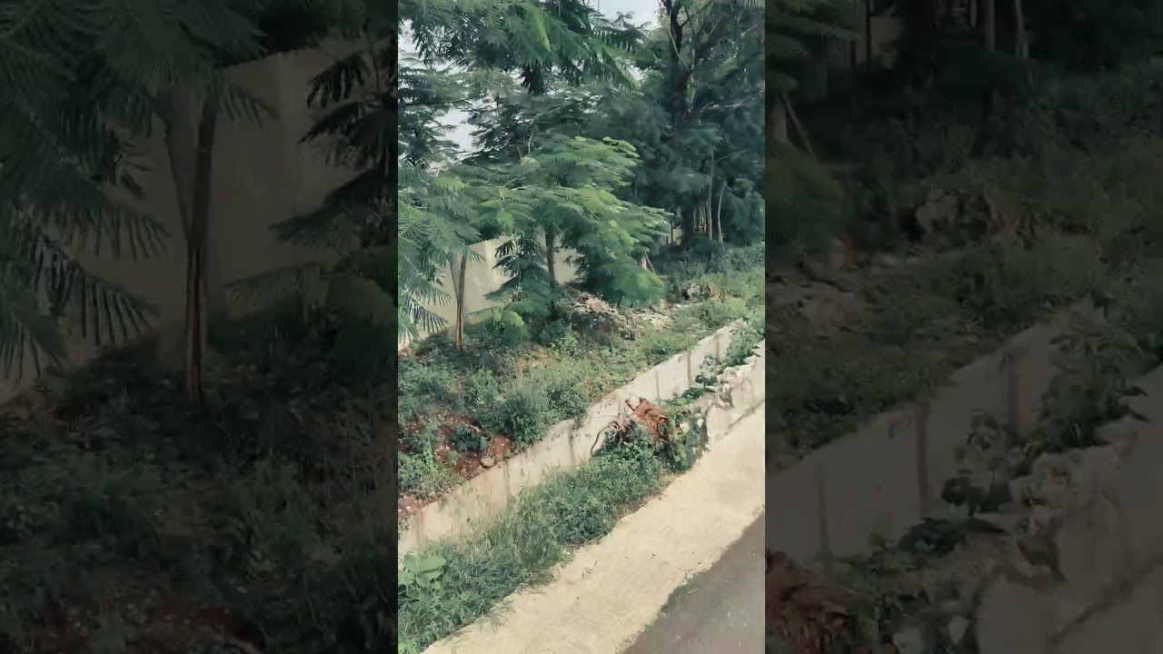 khang lagune pie khang.  jangan lupa subscribe khang #eripras3 #eripras #storywa