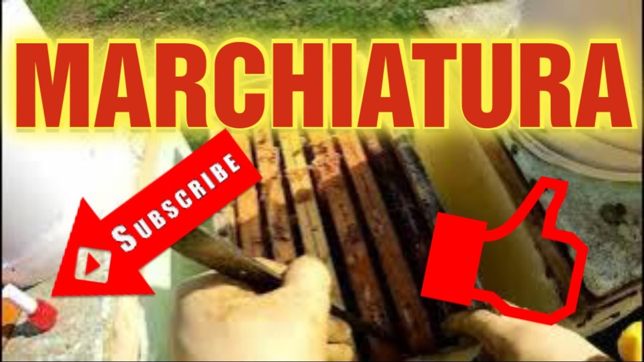 Apicoltura CD: Marcatura, volo di bottinatura, trucchi per trovare presto le regine. Andiamo!