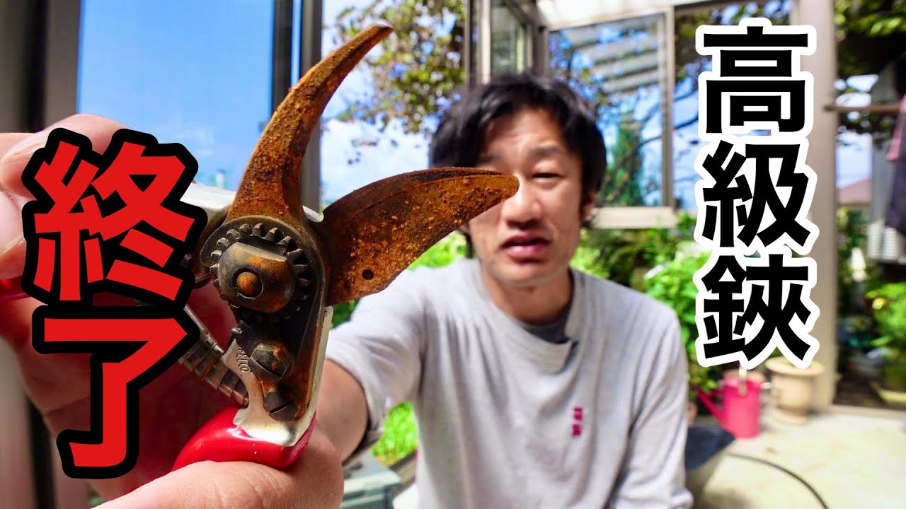 【信じられない】この後この錆が見事に消えます　【園芸超人カーメン君】