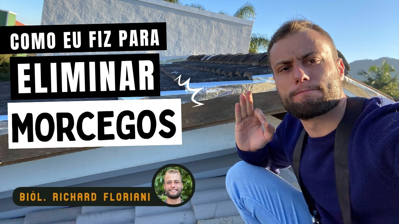 Como eu faço para eliminar morcegos do telhado: Método 100% eficaz - Biólogo Richard Floriani