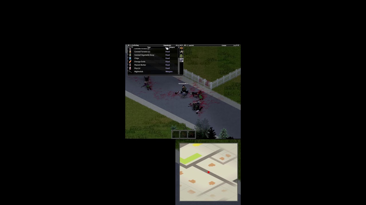 Weird Romanian playing Project Zomboid