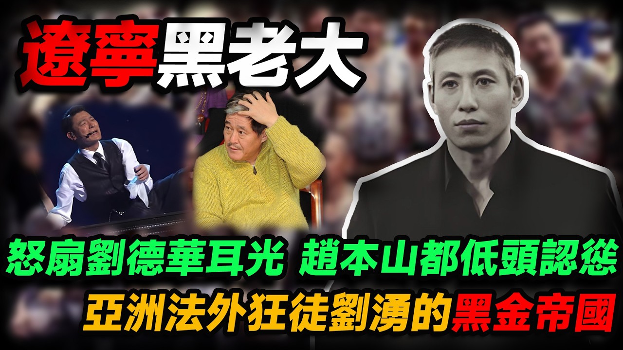 震驚全國！一巴掌扇翻劉德華，趙本山、任達華都得低頭認慫說好話，打的就是天王！揭秘遼寧黑老大劉湧的黑金帝國。#人物志 #社會 #腐敗 #貪污