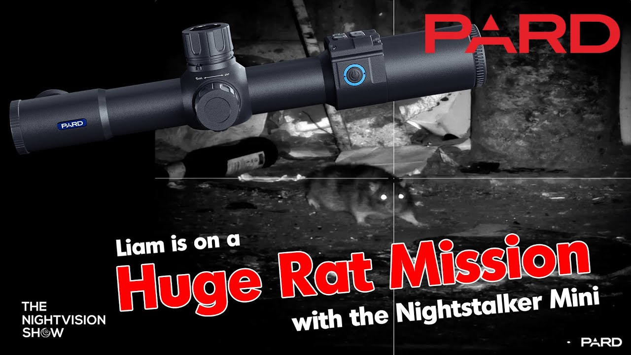 Ratting with the new Pard NightStalker Mini Digital Day/Night Vision - Scott Country International