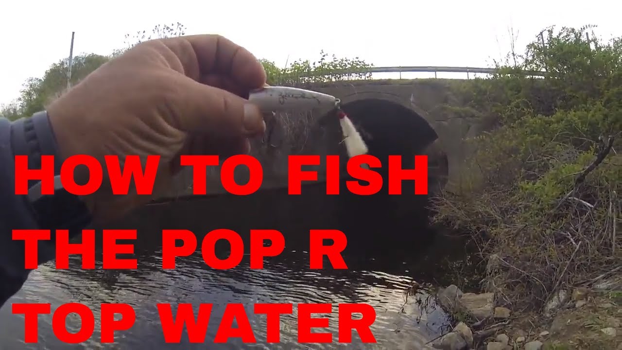 How to fish with the Pop R topwater lure for largemouth bass