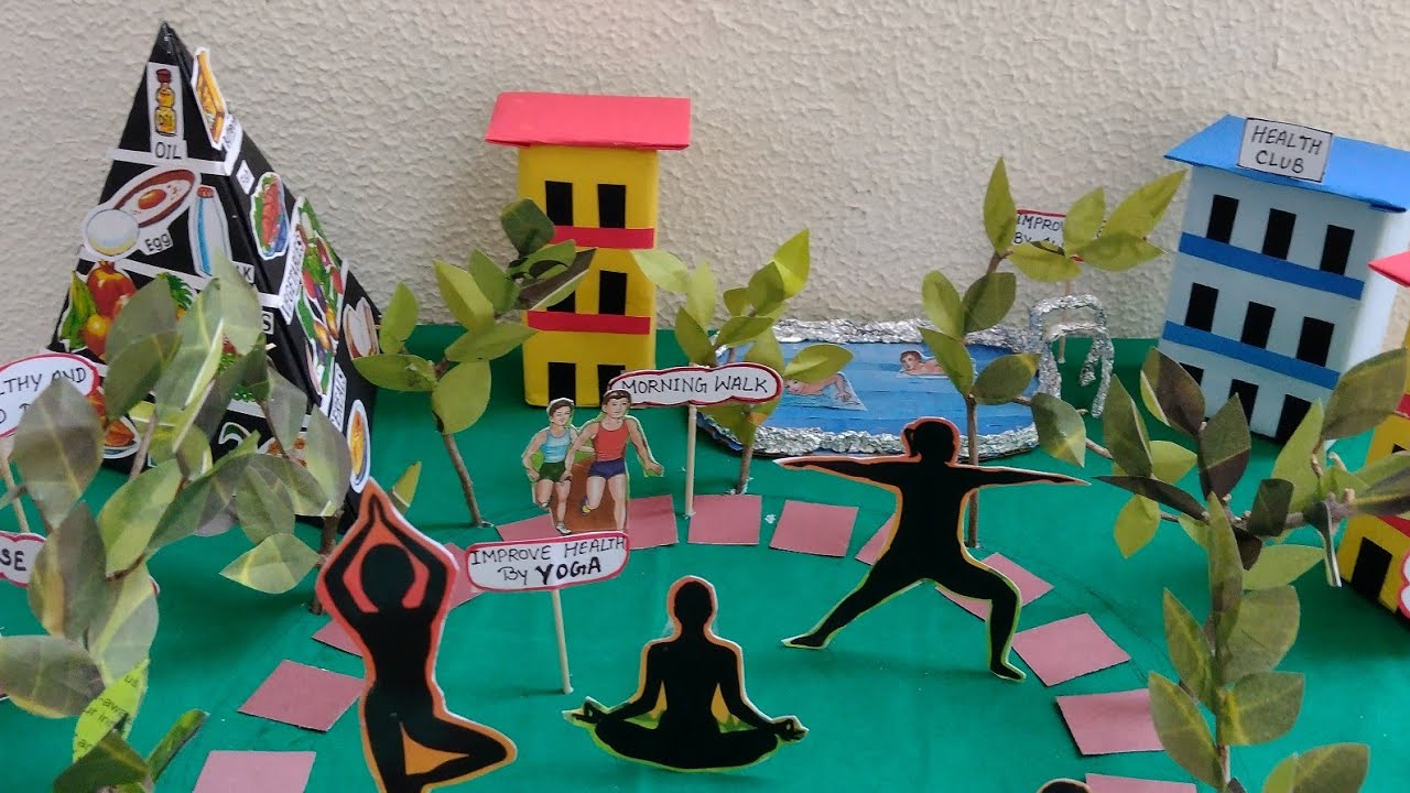 Health and Well Being Model/ Science Project /3D Science Model