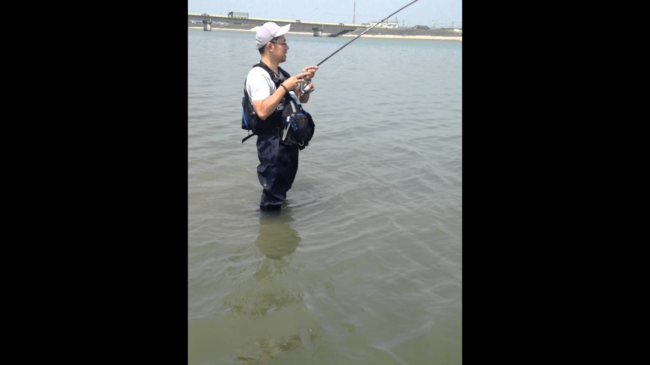 #peixes #grande #jap&atilde;o #top10 #foryou #jap