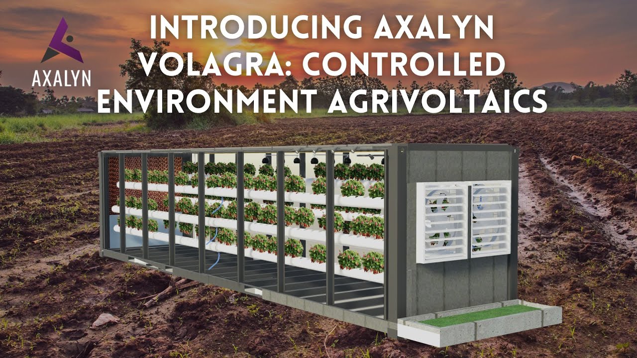 Introducing | Axalyn Volagra: Controlled Environment Agrivoltaics