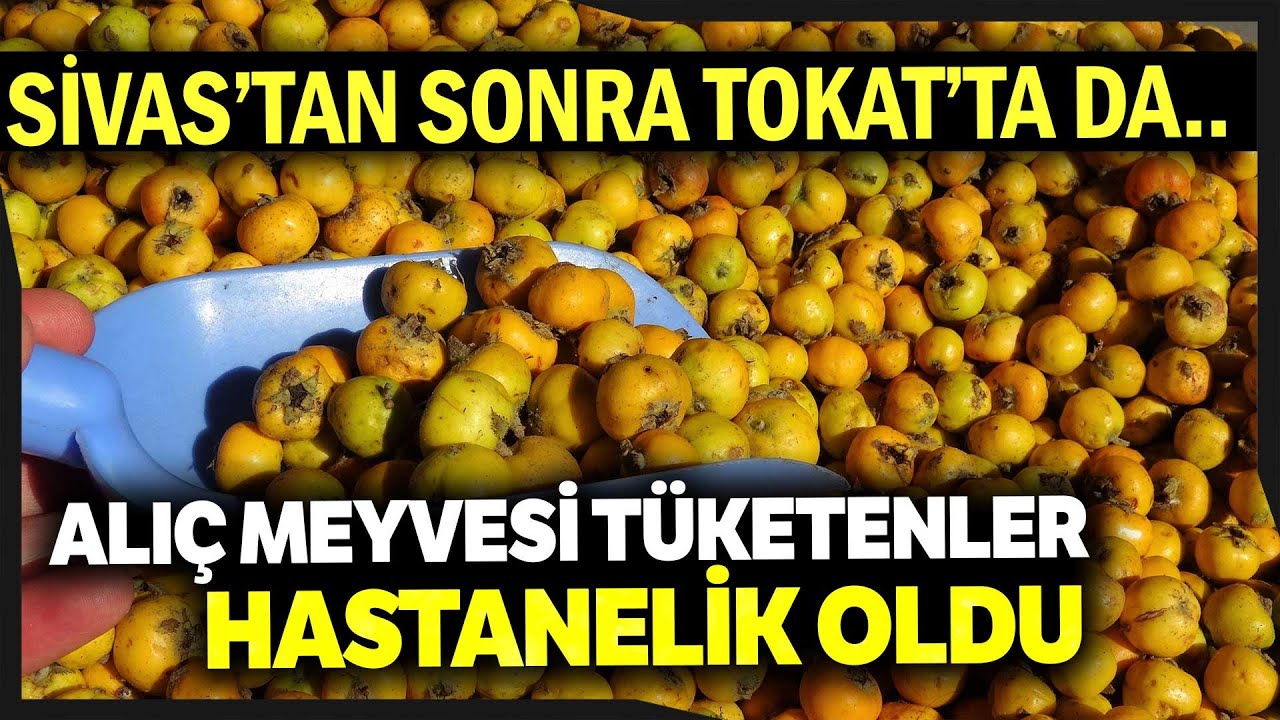 Çekirdeğiyle Alıç Meyvesi Tüketen Vatandaşlar Hastanelik Oldu