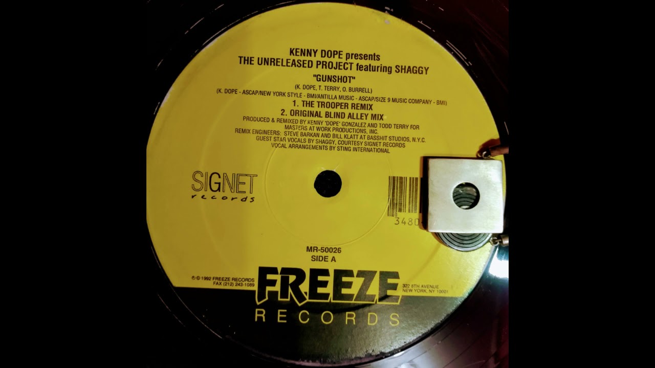 KENNY DOPE  FEAT. SHAGGY  -  GUNSHOT  ( THE TROOPER REMIX )