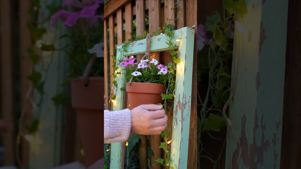 Peaceful Garden Frame View | Beautiful Backyard Garden Sunset Relaxing Nature View