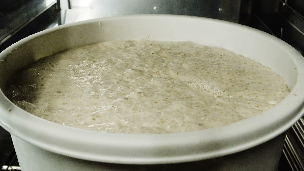 Raisin leaven for sourdough bread  (mysterious movements)