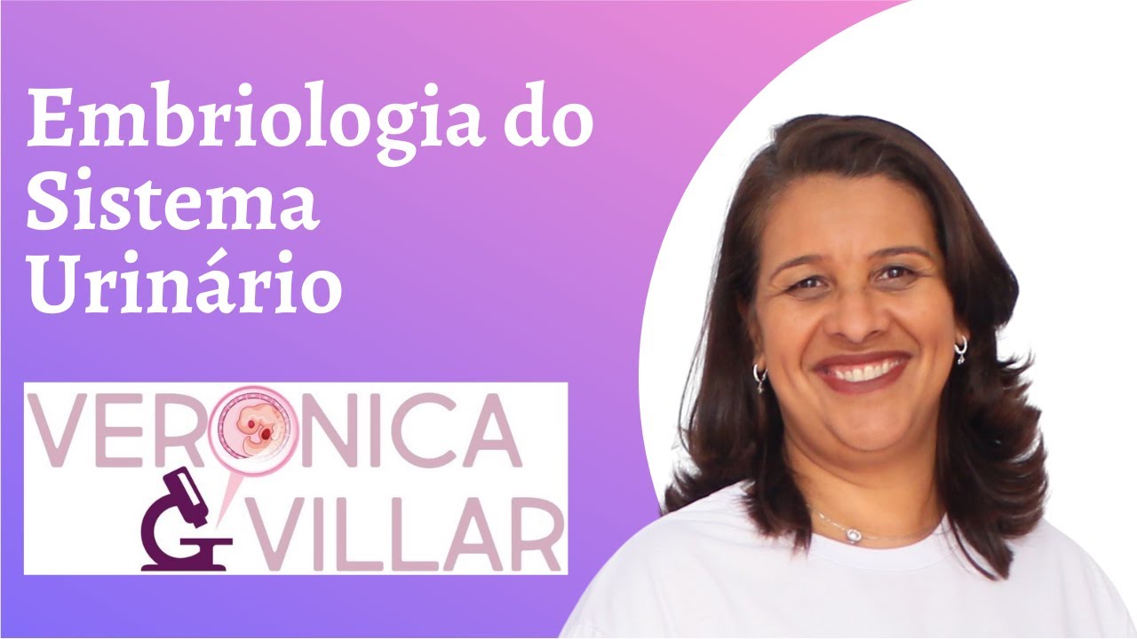 Embriologia do sistema urinário.