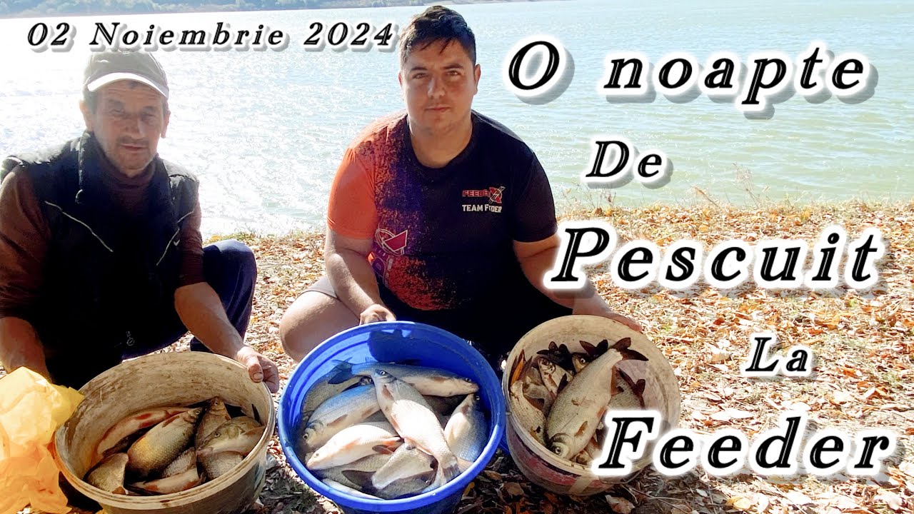 PESCUIT  la FEEDER TOAMNA pe DUNĂRE !! Mult pește prins intr-o noapte !! #carp #feeder #feedshorts