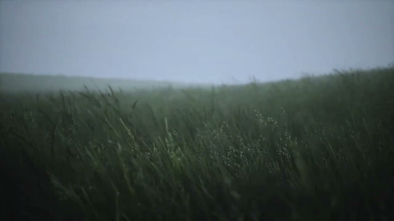 Where is the place I truly belong to?