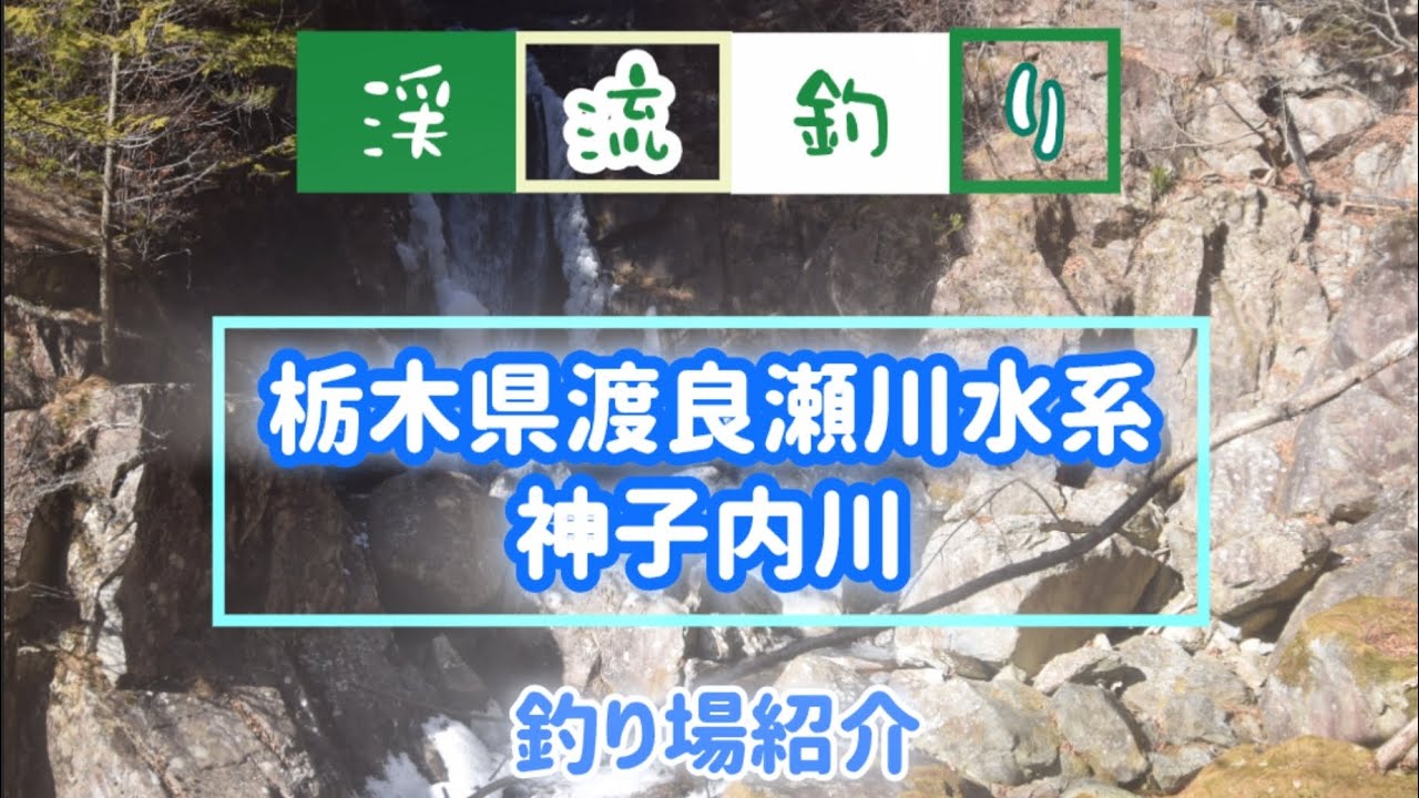 【栃木県渡良瀬川水系神子内川】🎣釣り場紹介