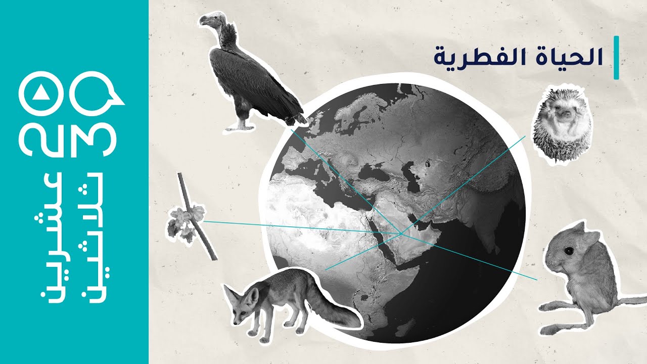 عشرين ثلاثين - مالفرق بين المناطق المحمية وغير المحمية ؟