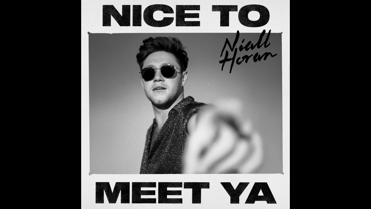 Niall Horan - Nice to meet ya Studio Acapella(Vocals only)[Download Available]