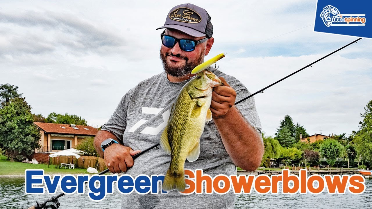 Evergreen Showerblows in azione 🎣 Topwater strike e catture incredibili