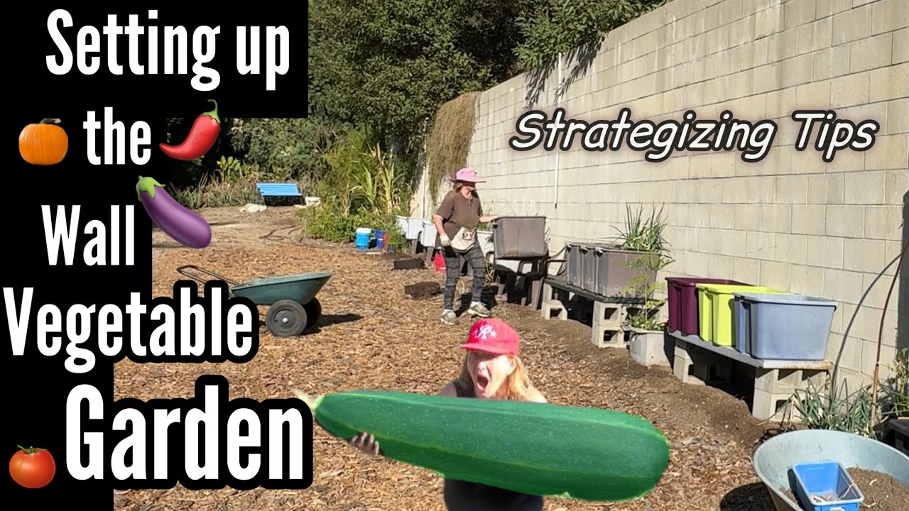 Creating the Super Growing Food Garden for Raised Bed Container Gardening Tomatoes Cucumbers Squash