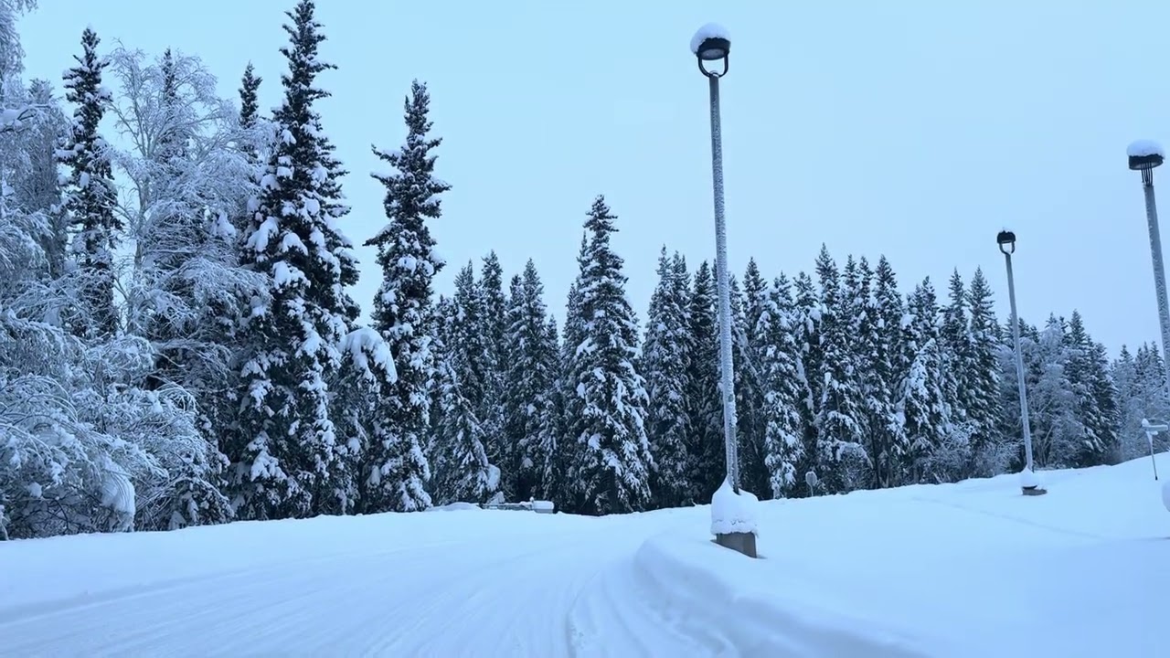 White snow covers everything during winter in Fairbanks, Alaska.