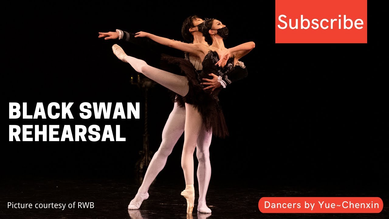 Black Swan Pas de deux