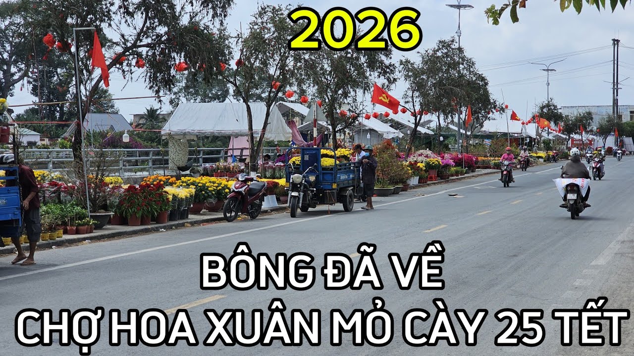Bông đã về! Chợ hoa xuân Mỏ Cày 25 Tết 