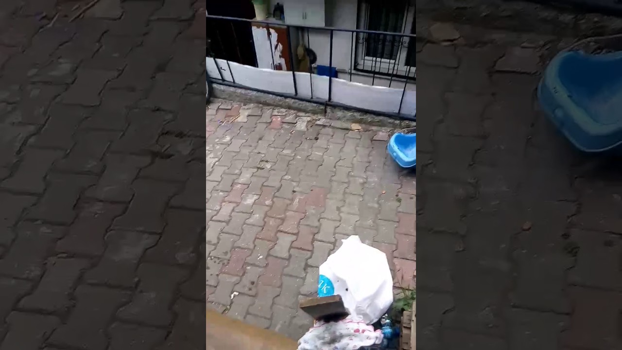 O korku anı