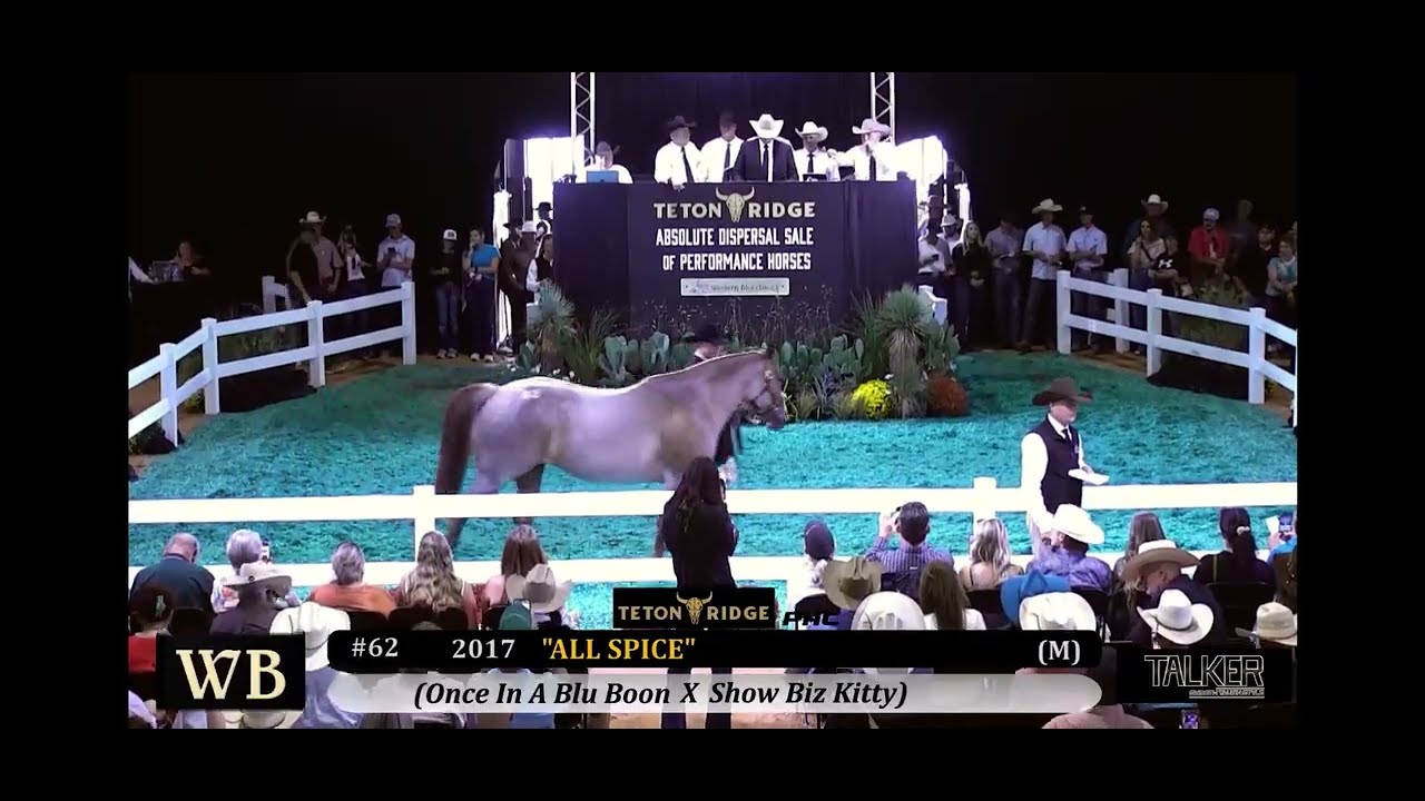 Once In A Blu Boon Daughter All Spice sells for $5M at Teton Ridge Absolute Dispersal Sale on 09/29