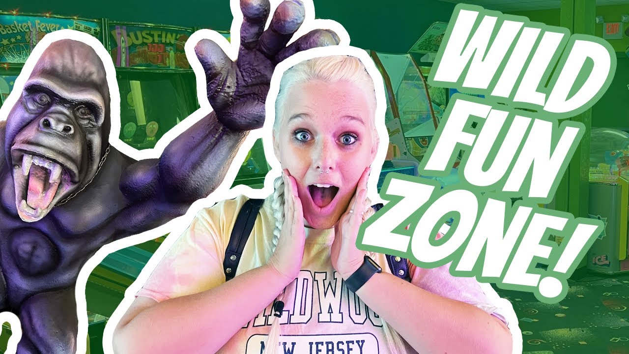 Unique and Classic Arcade Games at the Wild Fun Zone in the Wisconsin Dells!