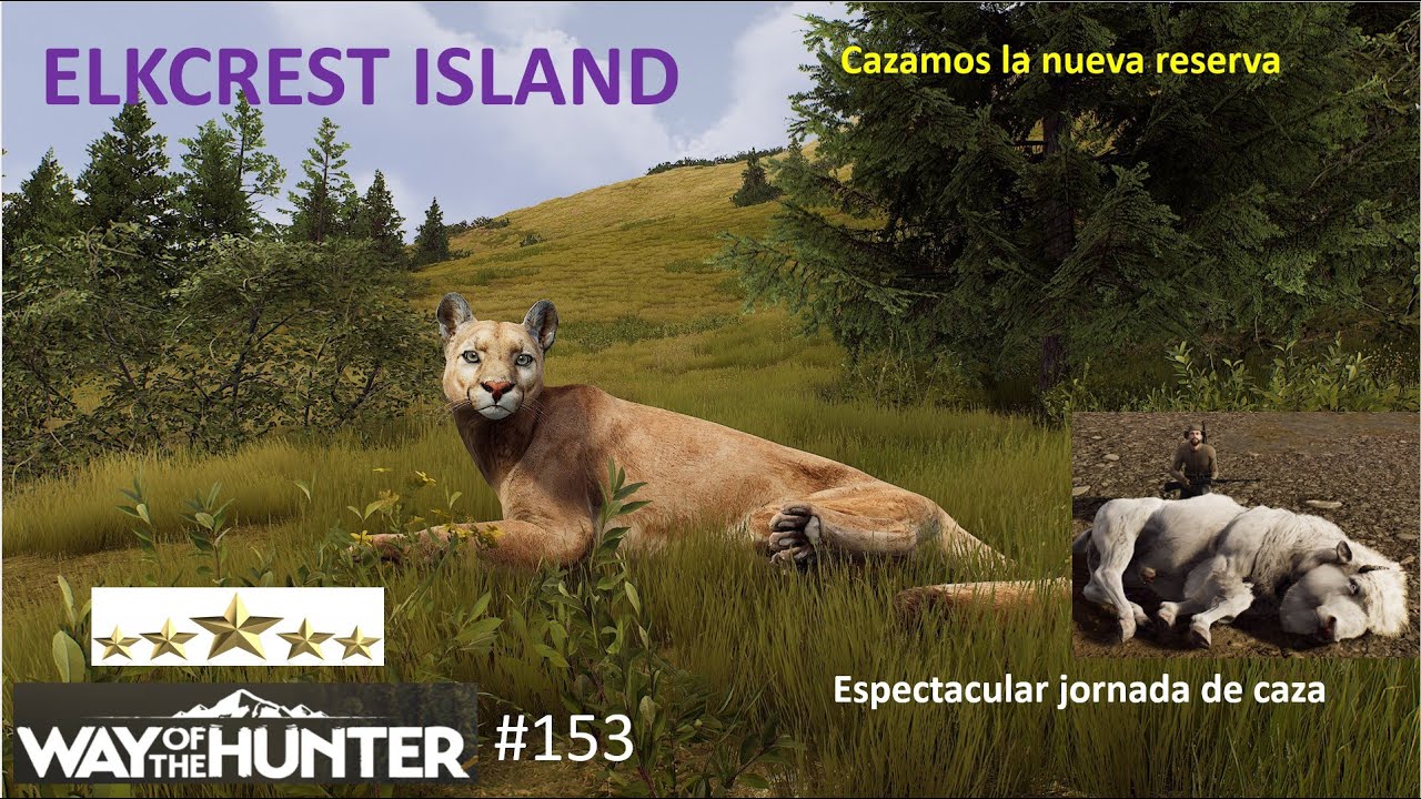 Way of the Hunter: Cazamos en la nueva reserva y abatimos excelentes ejemplares