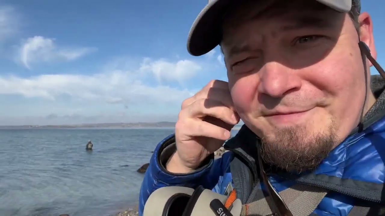 Sea Trout hunting - Vlog from the water